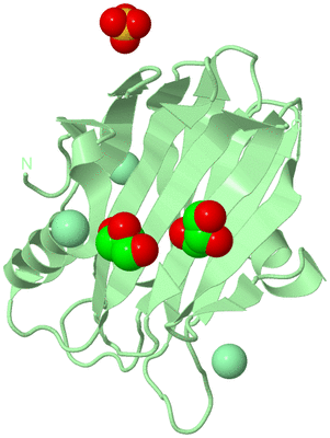 Image Biological Unit 2