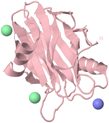 Image Biological Unit 3