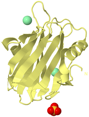 Image Biological Unit 4