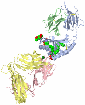 Image Asym./Biol. Unit