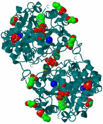 Image Biological Unit 1