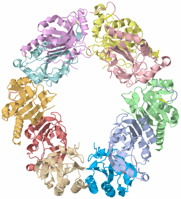 Image Asym./Biol. Unit