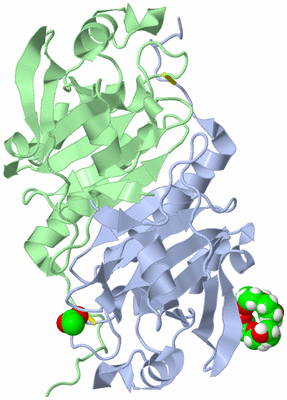 Image Asym./Biol. Unit