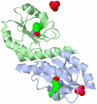 Image Biological Unit 3