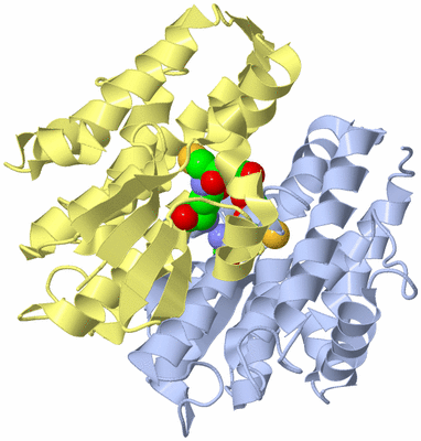 Image Biological Unit 1