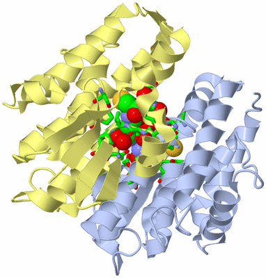 Image Biol. Unit 1 - sites