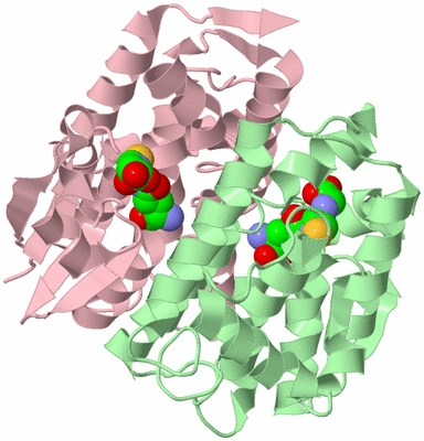 Image Biological Unit 2