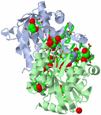 Image Asym./Biol. Unit - sites