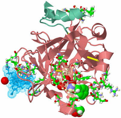 Image Asym./Biol. Unit - sites