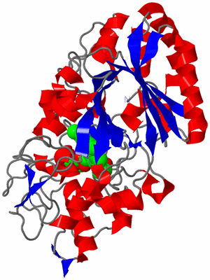 Image Asym./Biol. Unit