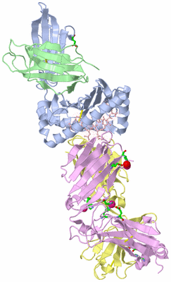 Image Asym./Biol. Unit - sites