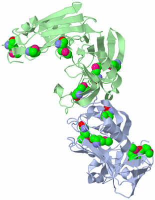 Image Biological Unit 3