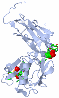 Image Biol. Unit 1 - sites