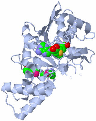 Image Biological Unit 1