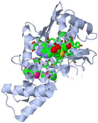 Image Biol. Unit 1 - sites