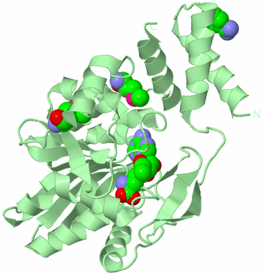 Image Biological Unit 2