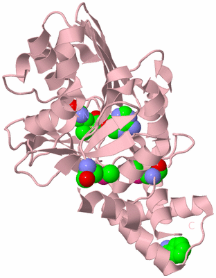 Image Biological Unit 3