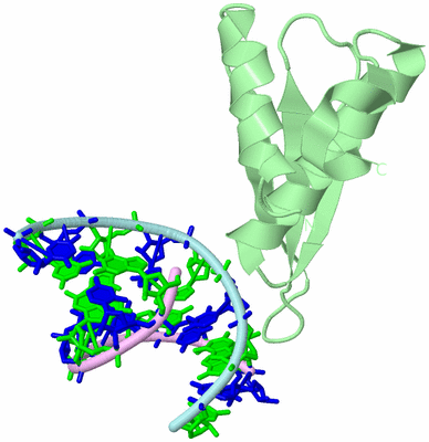 Image Biological Unit 2