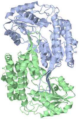 Image Asym./Biol. Unit