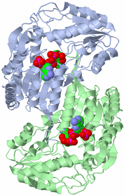 Image Asym./Biol. Unit