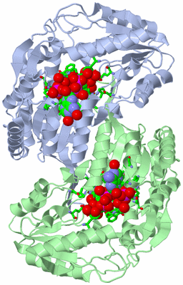 Image Asym./Biol. Unit - sites