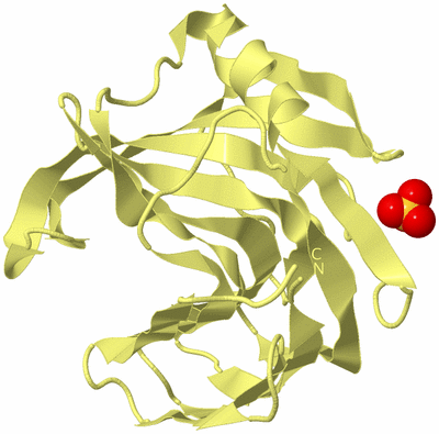 Image Biological Unit 4