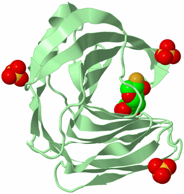 Image Biological Unit 2