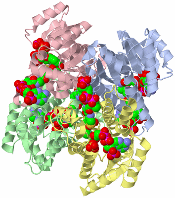 Image Asym./Biol. Unit