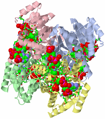 Image Asym./Biol. Unit - sites