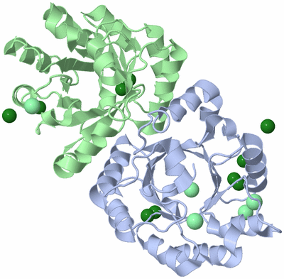 Image Asym./Biol. Unit