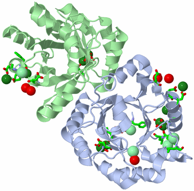 Image Asym./Biol. Unit - sites