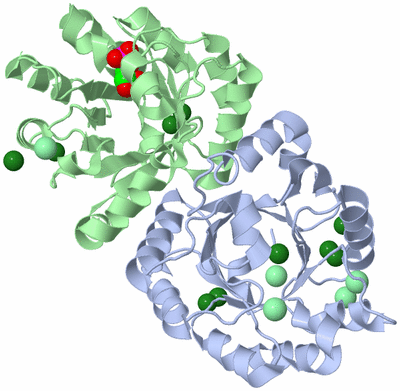 Image Asym./Biol. Unit