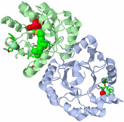 Image Asym./Biol. Unit - sites