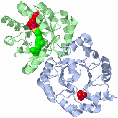 Image Asym./Biol. Unit