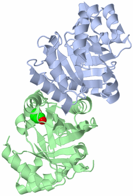 Image Asym./Biol. Unit