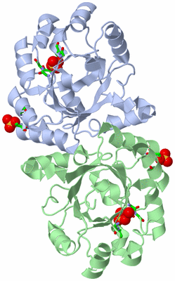 Image Asym./Biol. Unit - sites