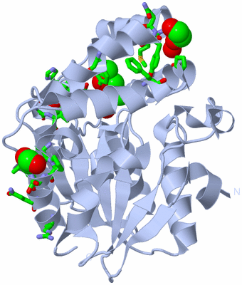 Image Biol. Unit 1 - sites