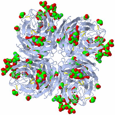 Image Biological Unit 1