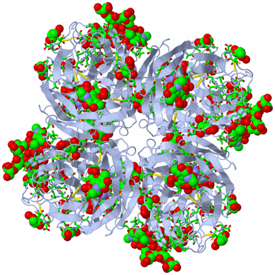 Image Biol. Unit 1 - sites