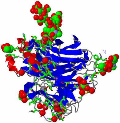 Image Asym. Unit - sites