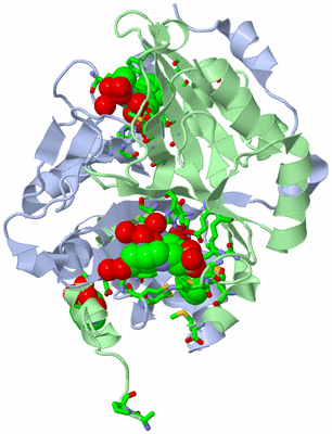 Image Biol. Unit 1 - sites