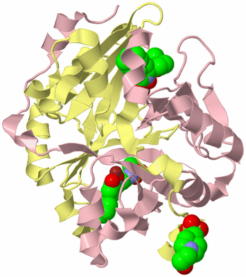 Image Biological Unit 2