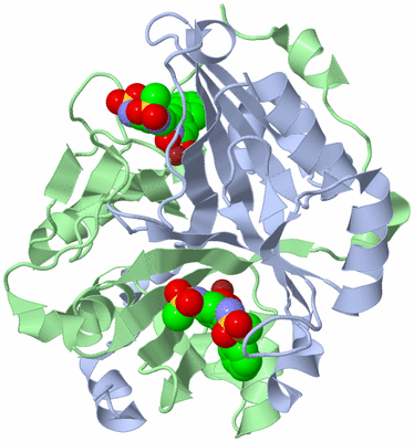 Image Asym./Biol. Unit