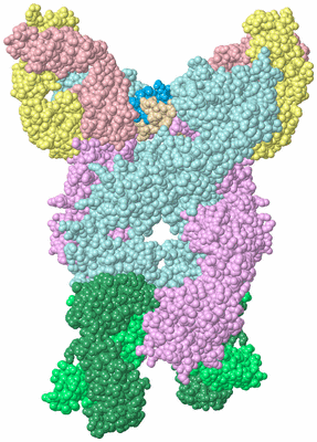 Image Biological Unit 1