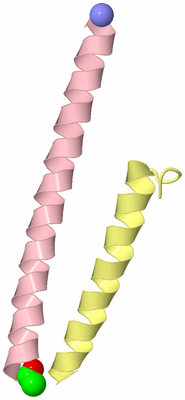 Image Asymmetric Unit