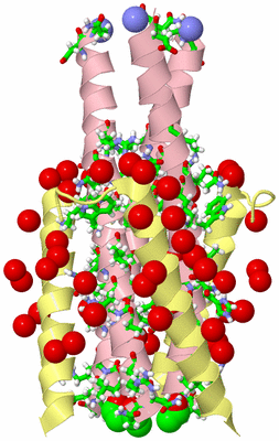 Image Biol. Unit 1 - sites