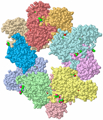 Image Asym./Biol. Unit - sites