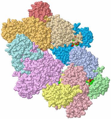 Image Asym./Biol. Unit - sites