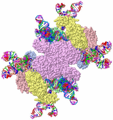 Image Biological Unit 1