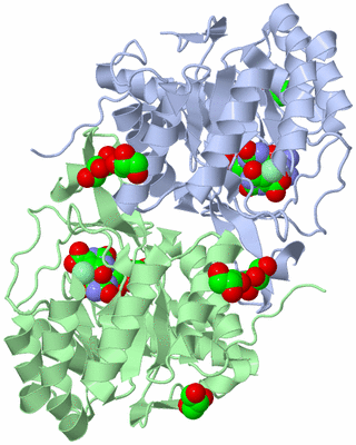 Image Asym./Biol. Unit